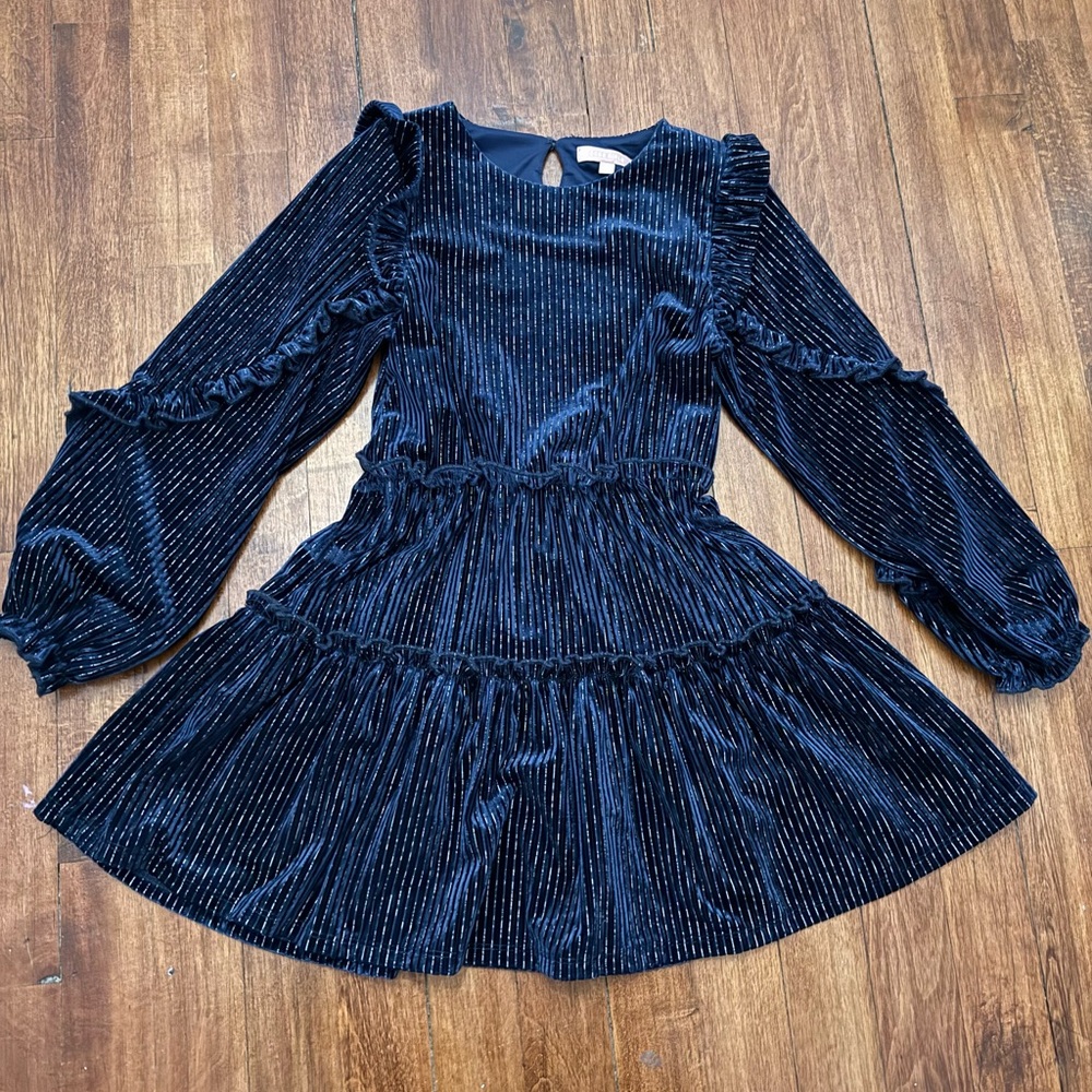 BCBGirls Navy Velvet Dress with Ruffled Sleeves